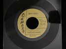 FABULOUS CAPRICES Groovy World / My Love 45 Camaro Rare 1971 Crossover Soul Funk