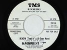 Garage 45 - Magnificent 7 - I Know (That It's All Over Now) - TMS VG++ obscure