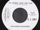 THIRTEENTH FLOOR ELEVATORS: may the circle remain unbroken  / i'm gonna love you
