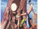 O'NEIL, Tara Jane - The Cool Cloud Of Okayness - Vinyl (LP)