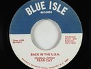 Hard Rock Psych Fuzz 45 - Fear Cay - Back In The U.S.A. - Blue Isle - obscure