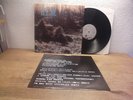 R.E.M. – Murmur 80s Lp mint- Alternative Rock, Indie Rock Rarität