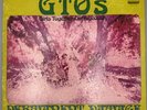 GTO's - Permanent Damage - 1969 US First Pressing W/ Booklet - Ex Condition