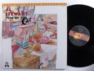 AL STEWART Year Of The Cat MFSL LP NM original master recording gatefold b