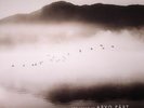 PART, Arvo/VARIOUS - The Sound Of Arvo Part - Vinyl (gatefold LP)