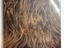 Super Furry Animals - SFA At The BBC * 4 Vinyl Lp Ltd * STR044LP * Free P&P UK *