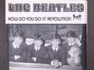 BEATLES: how do you do it / revolution SOK 7