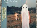 Phoebe Bridgers - Stranger In The Alps LP 5 Yr Anniversary  Galaxy Vinyl NEW
