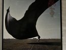 Pink Floyd High Hopes 12