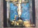 Sepultura - Chaos A.D. Vinyl LP Metal