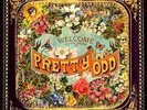 Panic  at the Disco - Pretty Odd Vinyl Record