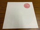 Dead Or Alive Promo white label Pre-Release 12inch Hooked On Love Epic BURNS T2