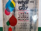 THE RAINDROPS 