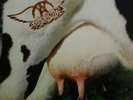 Aerosmith Get a Grip (Vinyl) 12