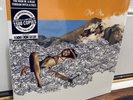 RARE  Man Man - The Man in a Blue Turban with Face RSD 2014 Vinyl Lp Excellent