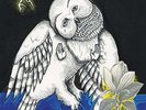 Songs: Ohia - The Magnolia Electric Co (2xLP)
