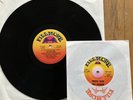 LAST DAYS OF THE FILLMORE VINYL BOX SET