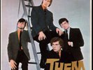 Them UK EP  Ladder Cover EXPORT only DFE 8612  Decca 1965
