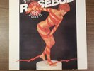 ROSEBUD - DISCOBALLS - A TRIBUTE TO PINK FLOYD - 12