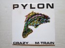PYLON U.S. indie single on DB Records