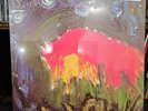 (45 RPM) II by Meat Puppets (45 RPM Vinyl Record LP, 2012) NEW / SEALED (45 RPM)