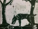 SLEEPYTIME GORILLA MUSEUM Of Natural History 2LP Like New
