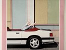 MIAMI HORROR - ALL POSSIBLE FUTURES - 12