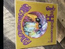 The Jimi Hendrix Experience Are You Experienced? - RS 6261