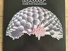 RAMP - Come Into Knowledge Roy Ayers Funk Soul Rare Groove Vinyl LP 1977