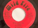 WILDFIRE - SEXY LADY YOU / RARE DISCO BOOGIE TRINIDAD 45 / WILD FIRE