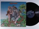 SAVOY BROWN Skin 'N' Bone LONDON LP VG+ c