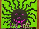 Big Boys - Lulabies Help the Brain Grow LP /1983 Moment Production w/Insert Punk