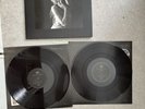 Taylor Swift The Tortured Poets Department The Black Dog Vinyl
