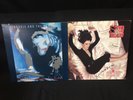 Siouxsie & The Banshees Peepshow LP & Kiss Them For Me 12