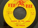 Rare Northern Soul - The Ithacas 