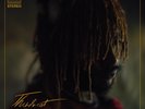 Thundercat It Is What It Is (Colored Vinyl, Red, 140 Gram Vinyl, Photos) Records