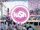 Lush - Lovelife 2023 Remaster - Clear Color Vinyl