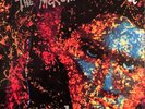 The Mekons Rock N' Roll / Vinyl / Indie / Post-Rock / Blast First / Germany