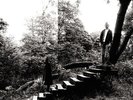 Timber Timbre - Timber Timbre (Vinyl LP - 2009 - UK - Reissue)