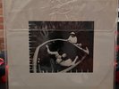 Captain Beefheart Clear Spot Vinyl Record 1972 US LP