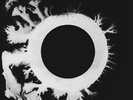 Bauhaus The Sky's Gone Out Records & LPs New