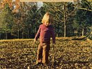 The Allman Brothers Band - Brothers And Sisters 2013 LP New Sealed
