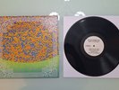 Black Magick SS - Hidden In Plain Sight Vinyl LP /500 Rare Sold Out edelweiss