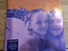 Smashing Pumpkins Siamese Dream Double Vinyl Album