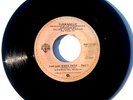 FUNKADELIC - Not Just Knee Deep Pt.1 / Pt.2 - Vinyl 45rpm WB 49040 1979