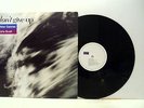 PETER GABRIEL AND KATE BUSH don't give up 12 INCH EX/EX-, PGS 212, vinyl, single