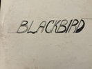 BLACKBIRD vinyl Record 1974 A Connie studio recording Ken Walston