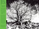 The Bevis Frond - New River Head 2xLP, Album, RE Near Mint (NM or M-) Rock