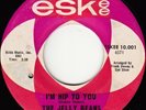Jelly Beans: I'm Hip to You/You Don't Mean Me No Good -Eskee 1965 Northern Soul