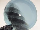 BEATLES I'LL BE BACK X-Ray USSR Record Roentgen Bone Ribs Music Vinyl